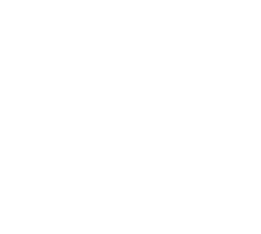 Zehnder
